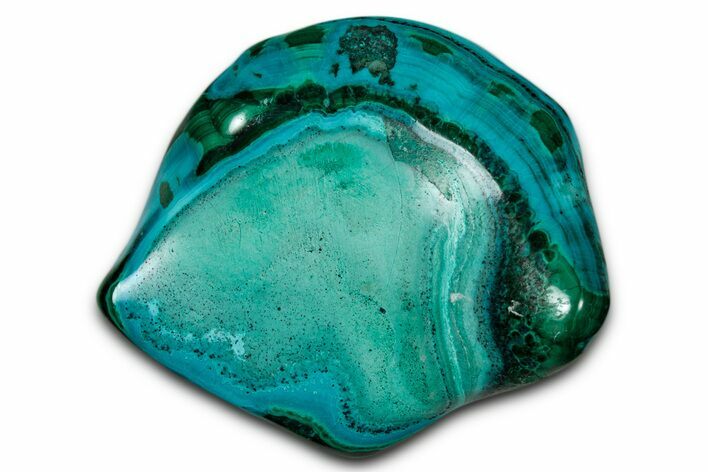Vibrant Polished Malachite with Chrysocolla - DR Congo #336842